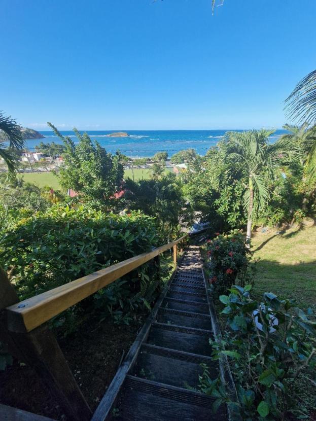 Hotel Le Manguier Morne Pavillon Ngoại thất bức ảnh