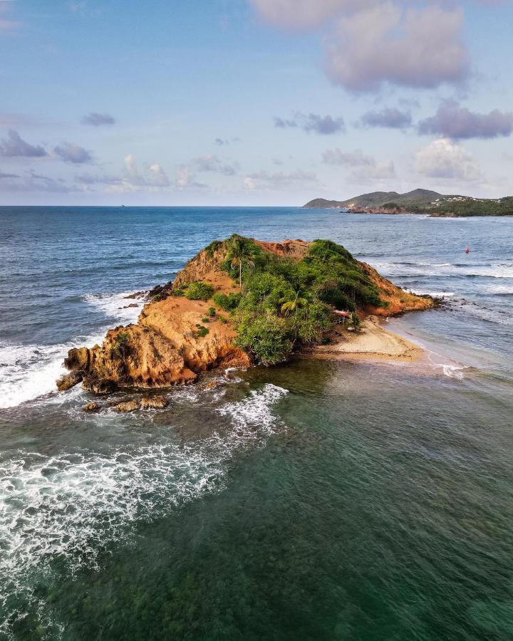 Hotel Le Manguier Morne Pavillon Ngoại thất bức ảnh
