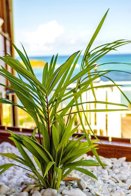 Hotel Le Manguier Morne Pavillon Ngoại thất bức ảnh