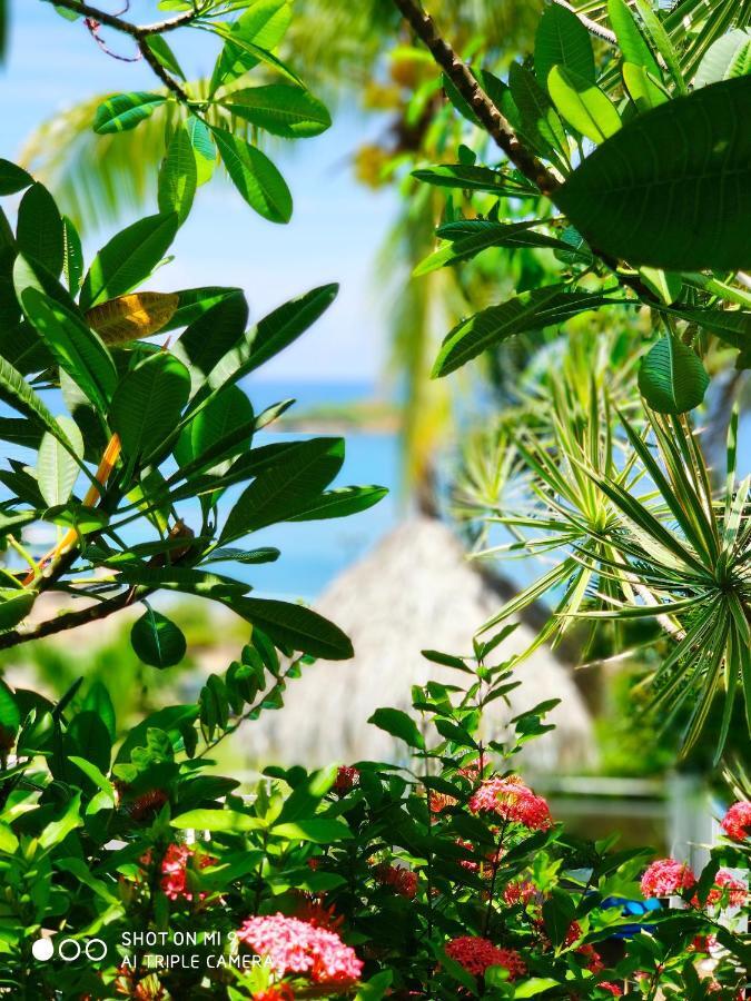 Hotel Le Manguier Morne Pavillon Ngoại thất bức ảnh